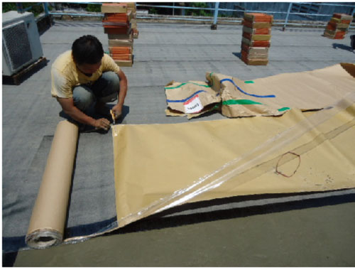 đo cắt màng chống thấm